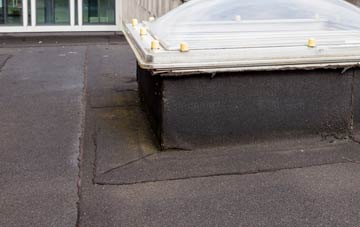 disadvantages of Nine Elms flat roofs