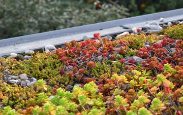 the cost of Nine Elms green roof installation