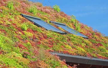Nine Elms living roof systems