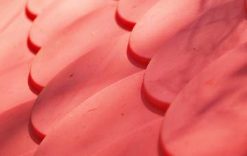 Nine Elms plastic roof costs