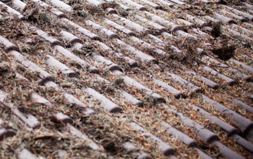 Nine Elms roof cleaning companies