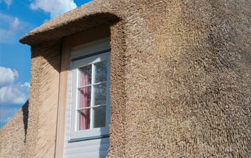 Nine Elms thatch roof disadvantages
